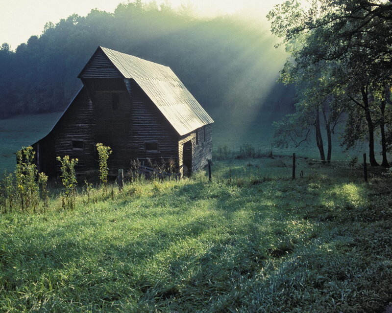 Sunlight through misty barn