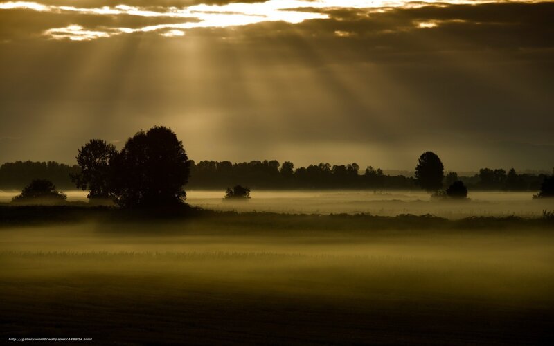 Sunlight through misty fields