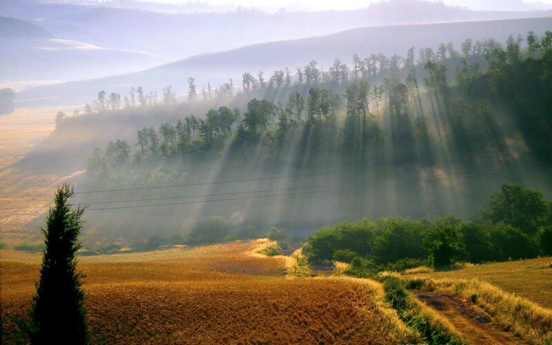 Sunlight Through Misty Hills — Green, Serene