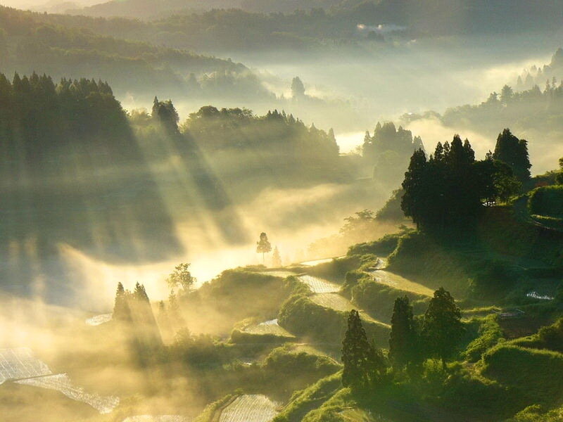 Sunlight Through Misty Hills — Green