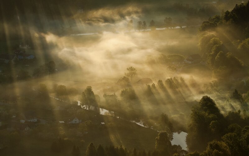 Sunlight Through Morning Fog — Gold