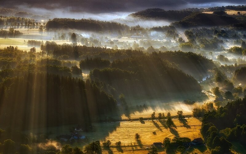 Sunlight Through Morning Fog — Green