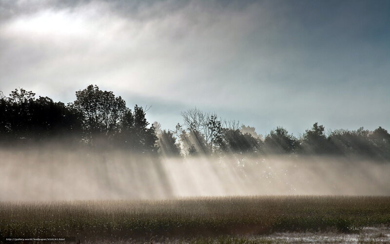 Sunlight Through Morning Fog