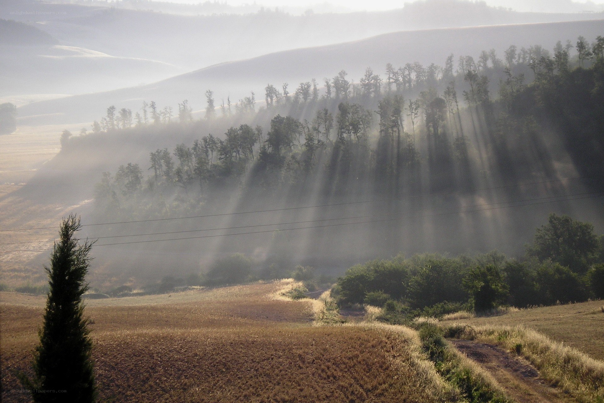 Sunlight through morning mist