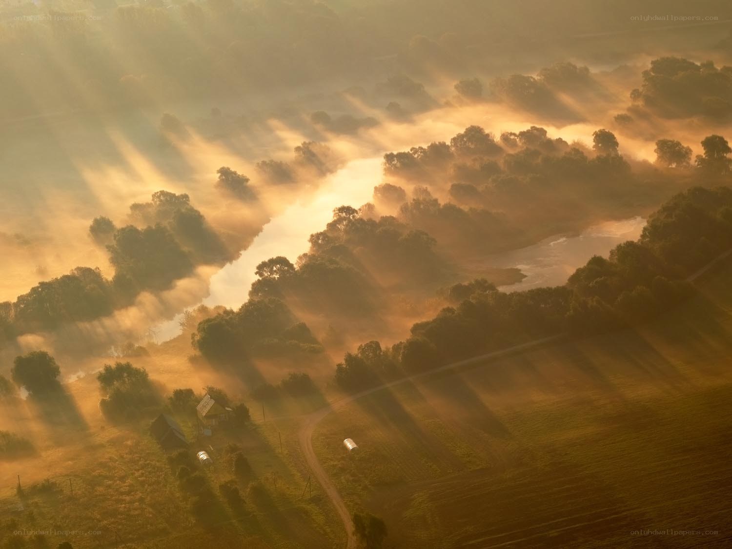 Sunlight through morning mist