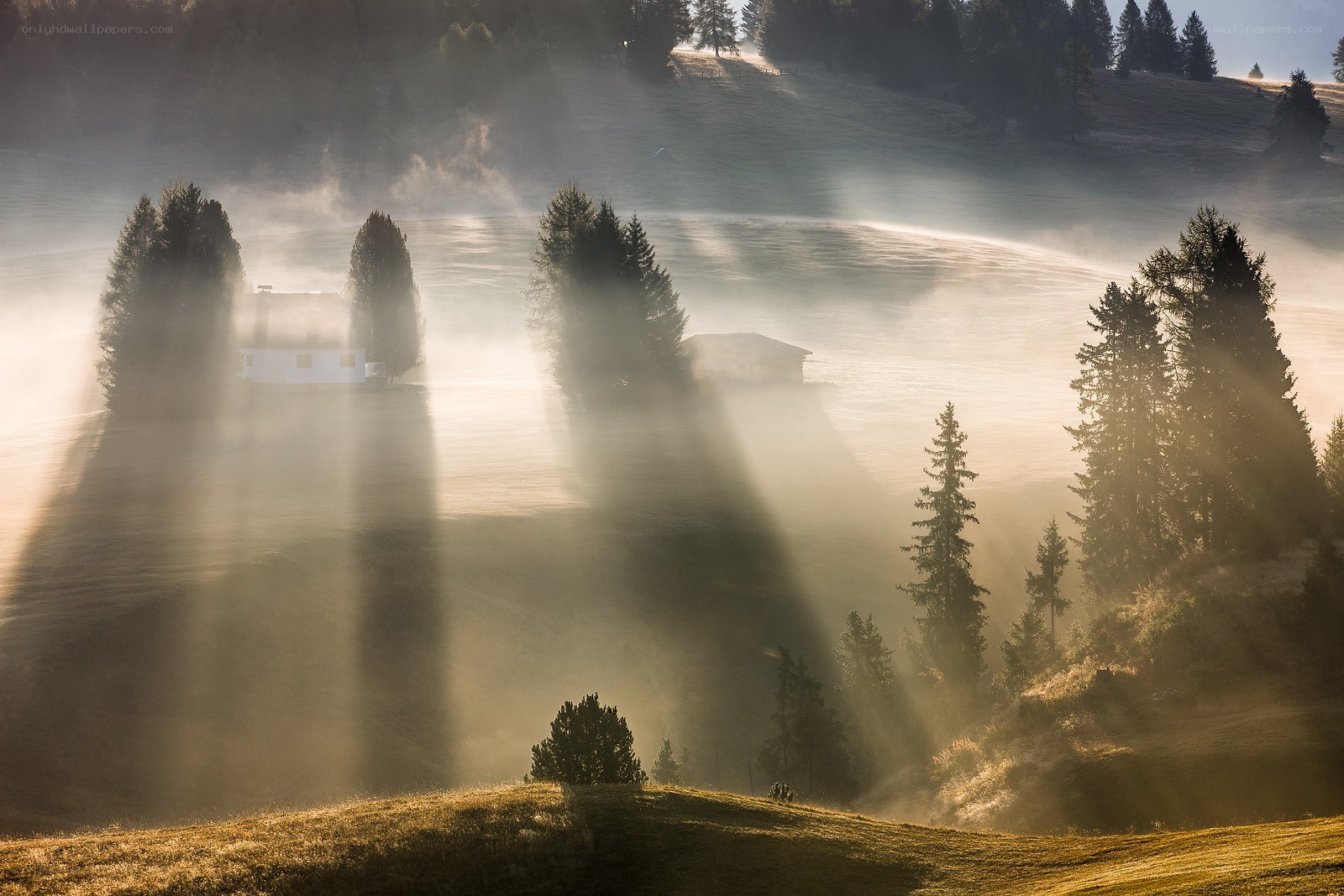 Sunlight through morning mist