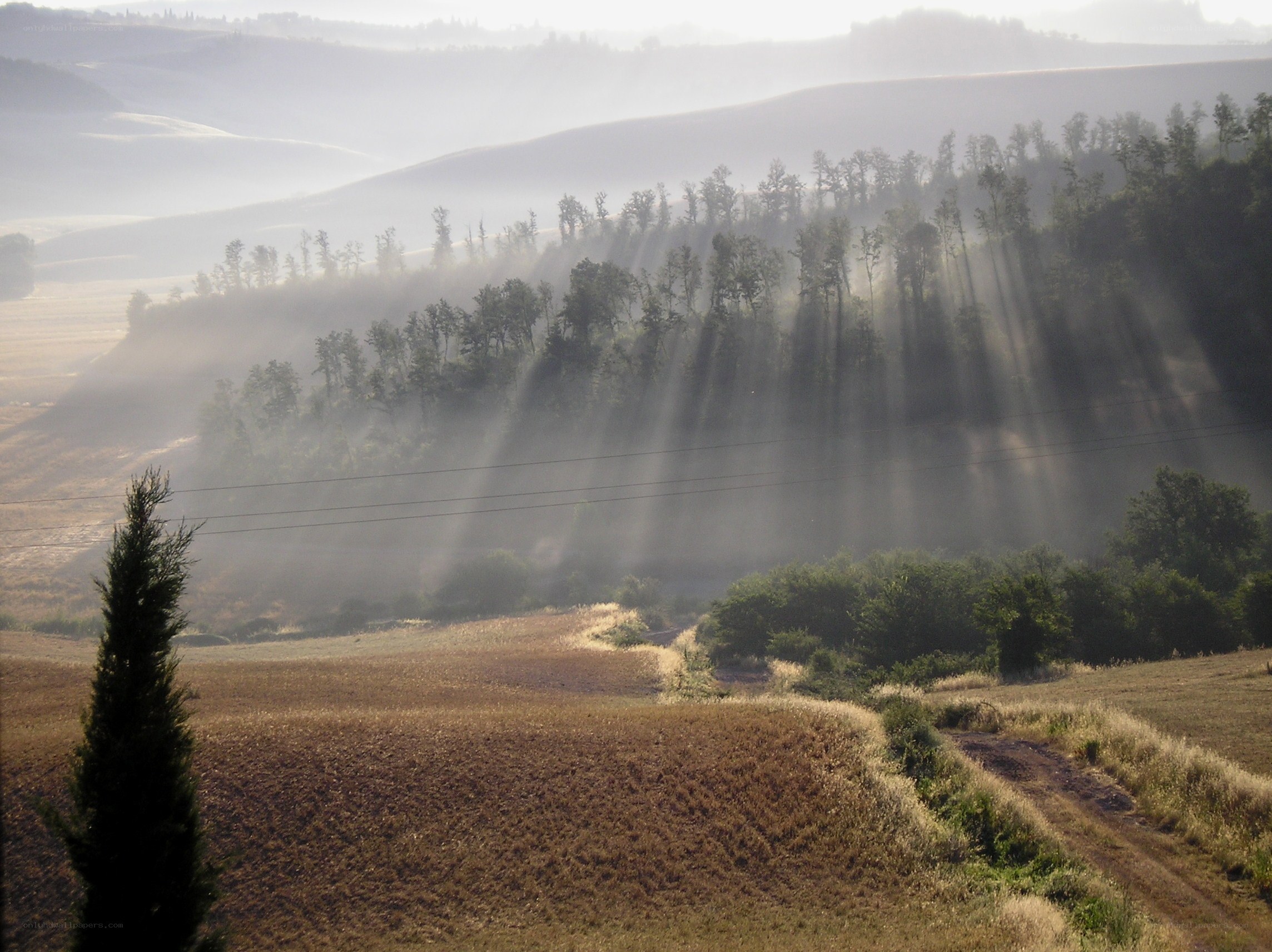 Sunlight through morning mist