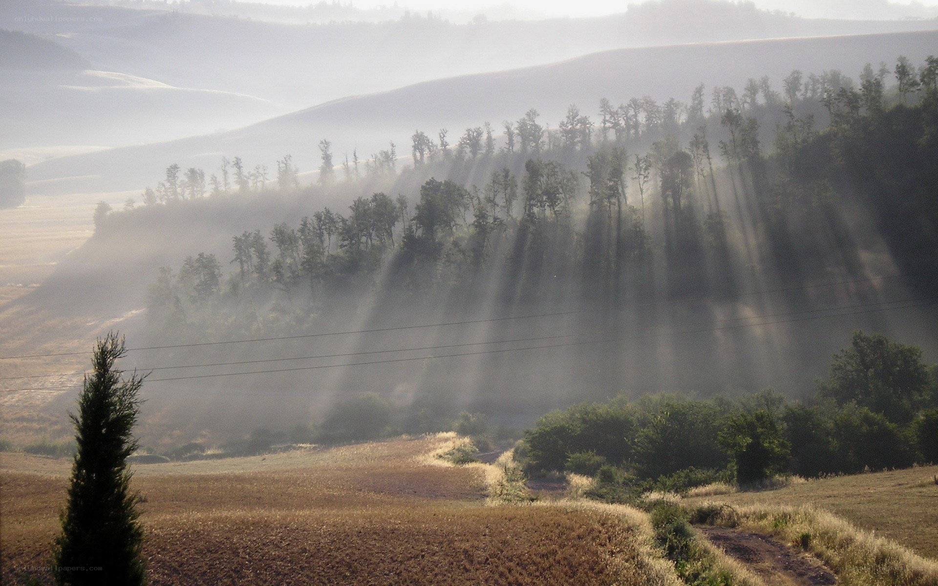 Sunlight through morning mist