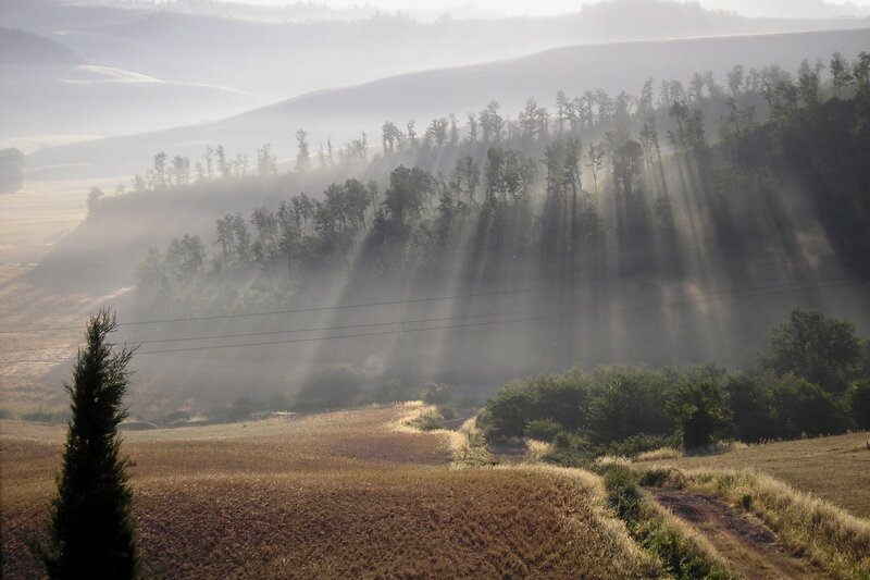Sunlight through morning mist