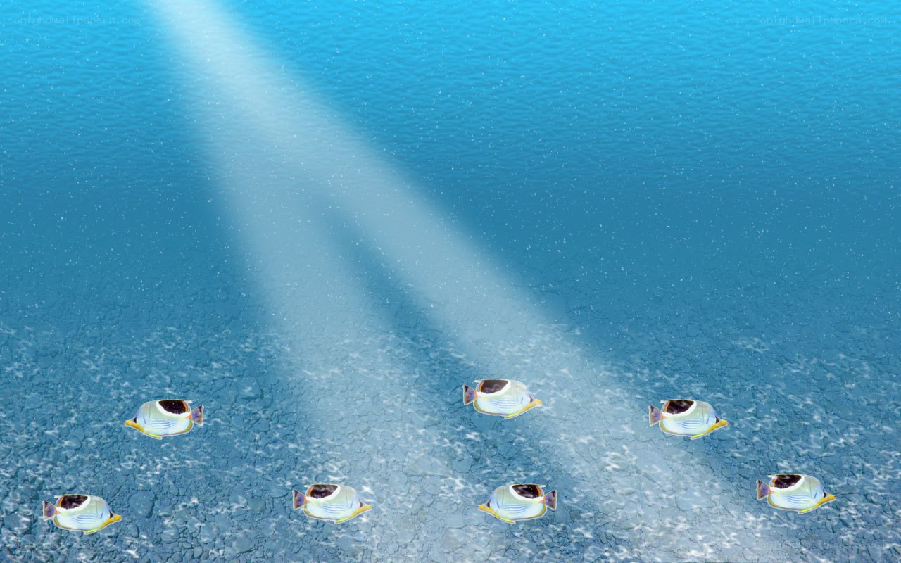 Sunlight through ocean water