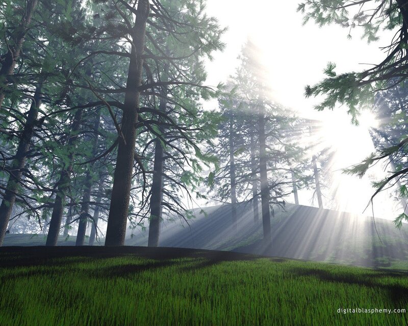 Sunlight Through Pine Forest — Green, Serene, Morning, Digital Art