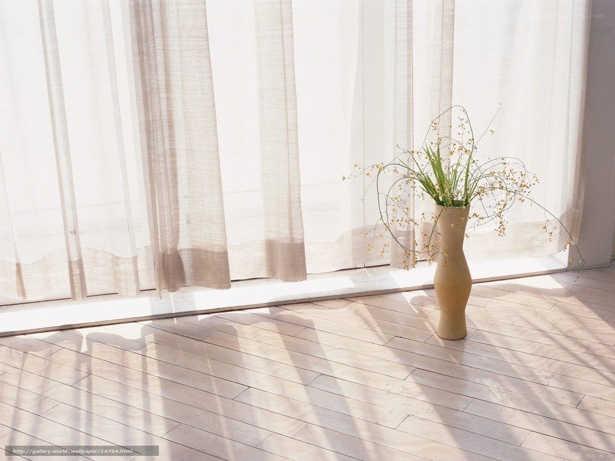 Sunlight through sheer curtains