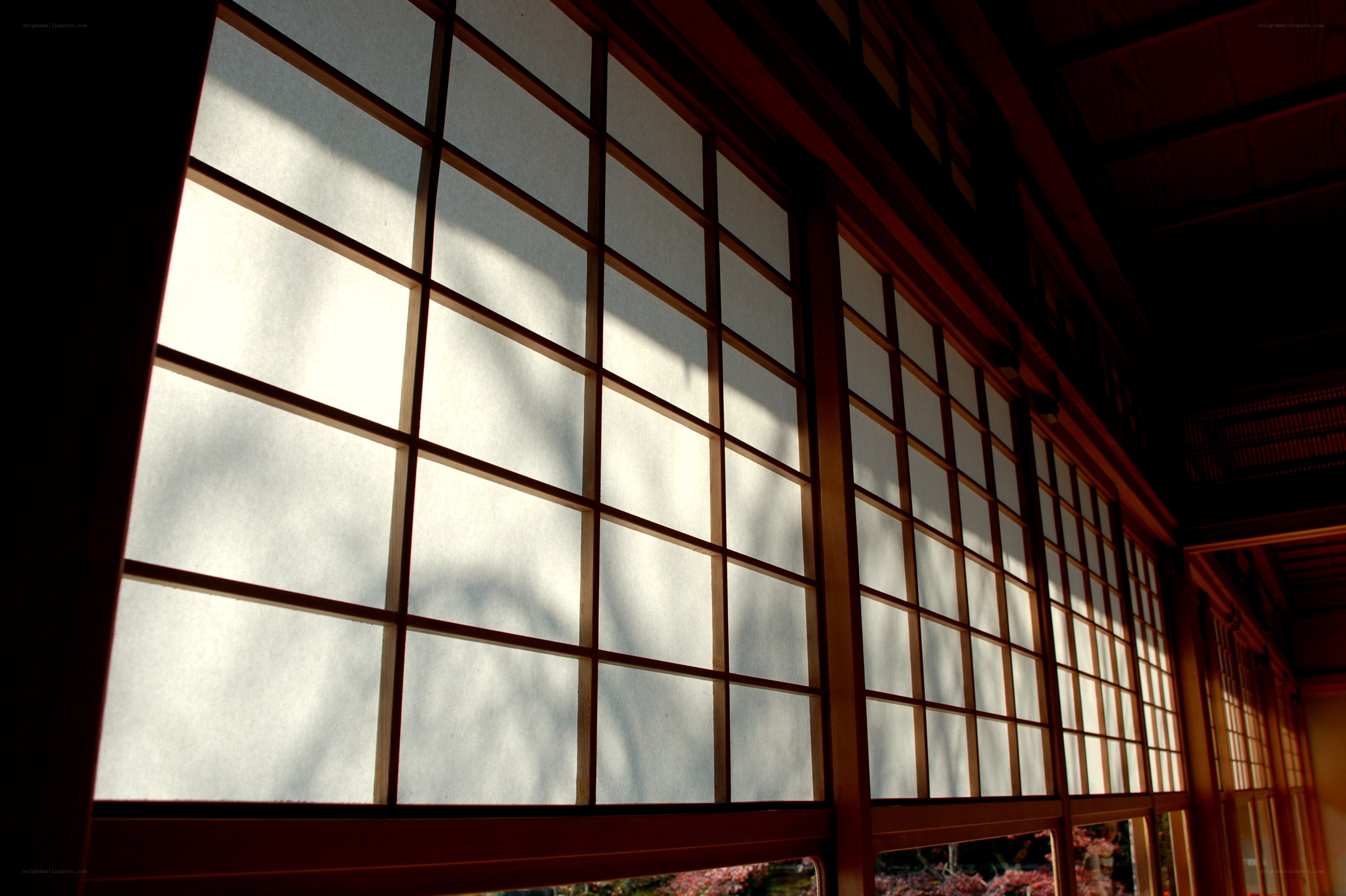 Sunlight through shoji screens