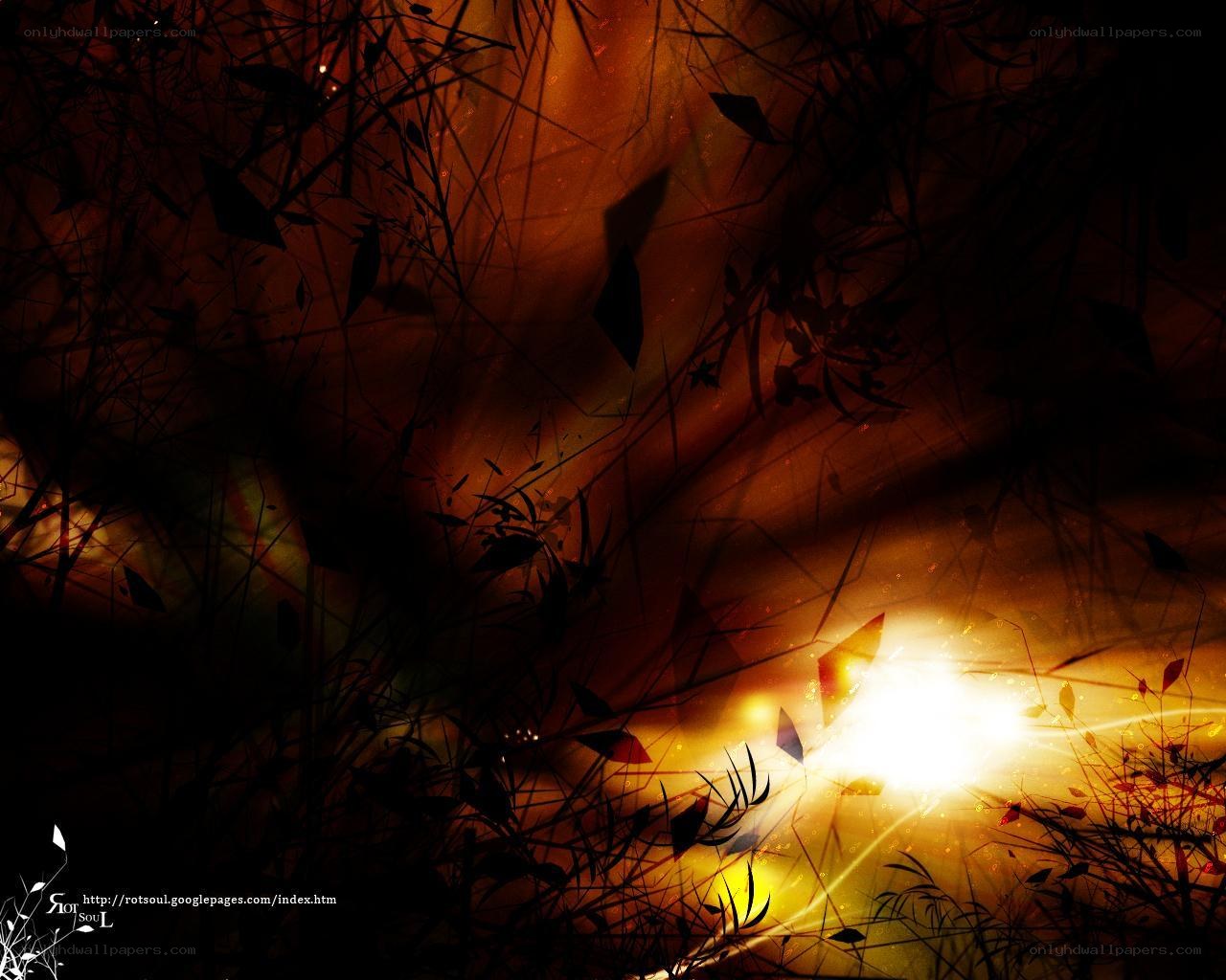Sunlight through silhouetted foliage