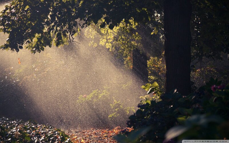 Sunlight Through Sprinkler — Green
