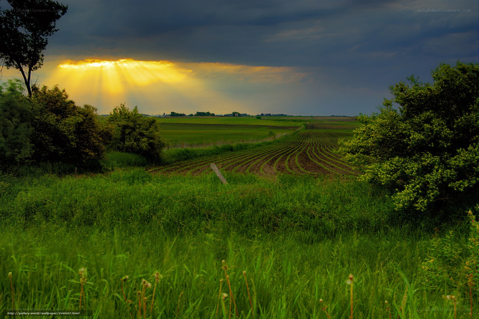 Sunlight through storm clouds