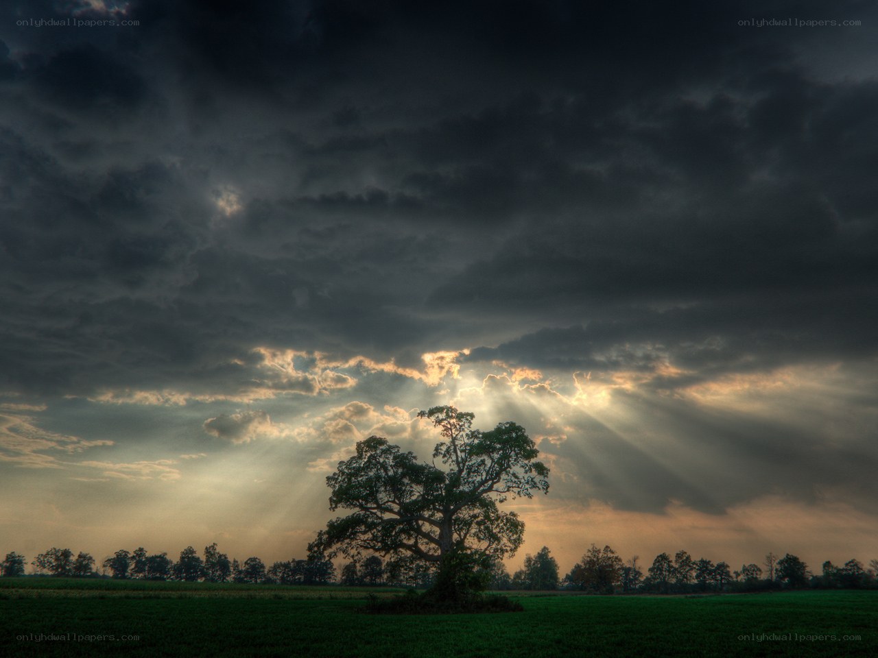 Sunlight through storm clouds