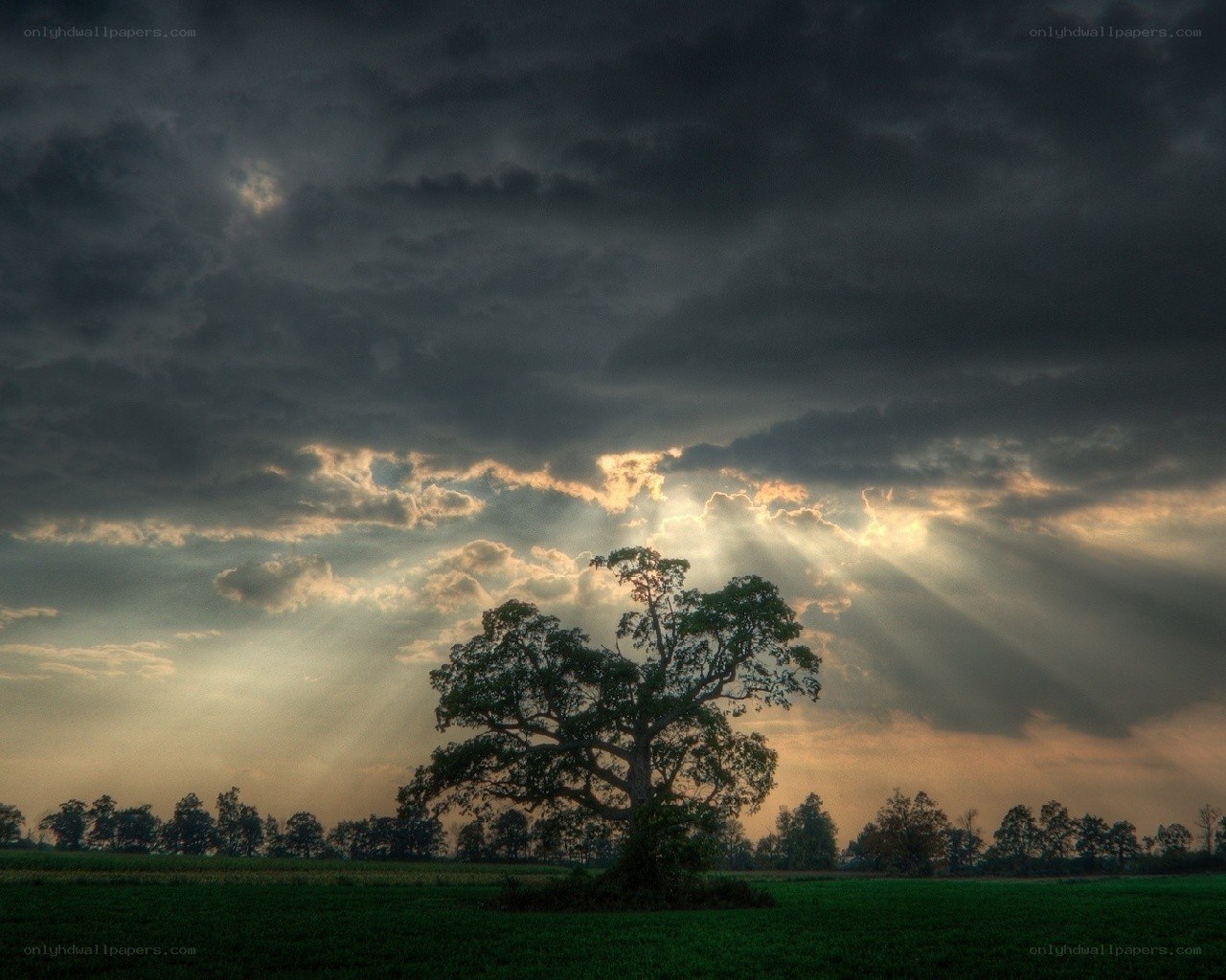 Sunlight through storm clouds