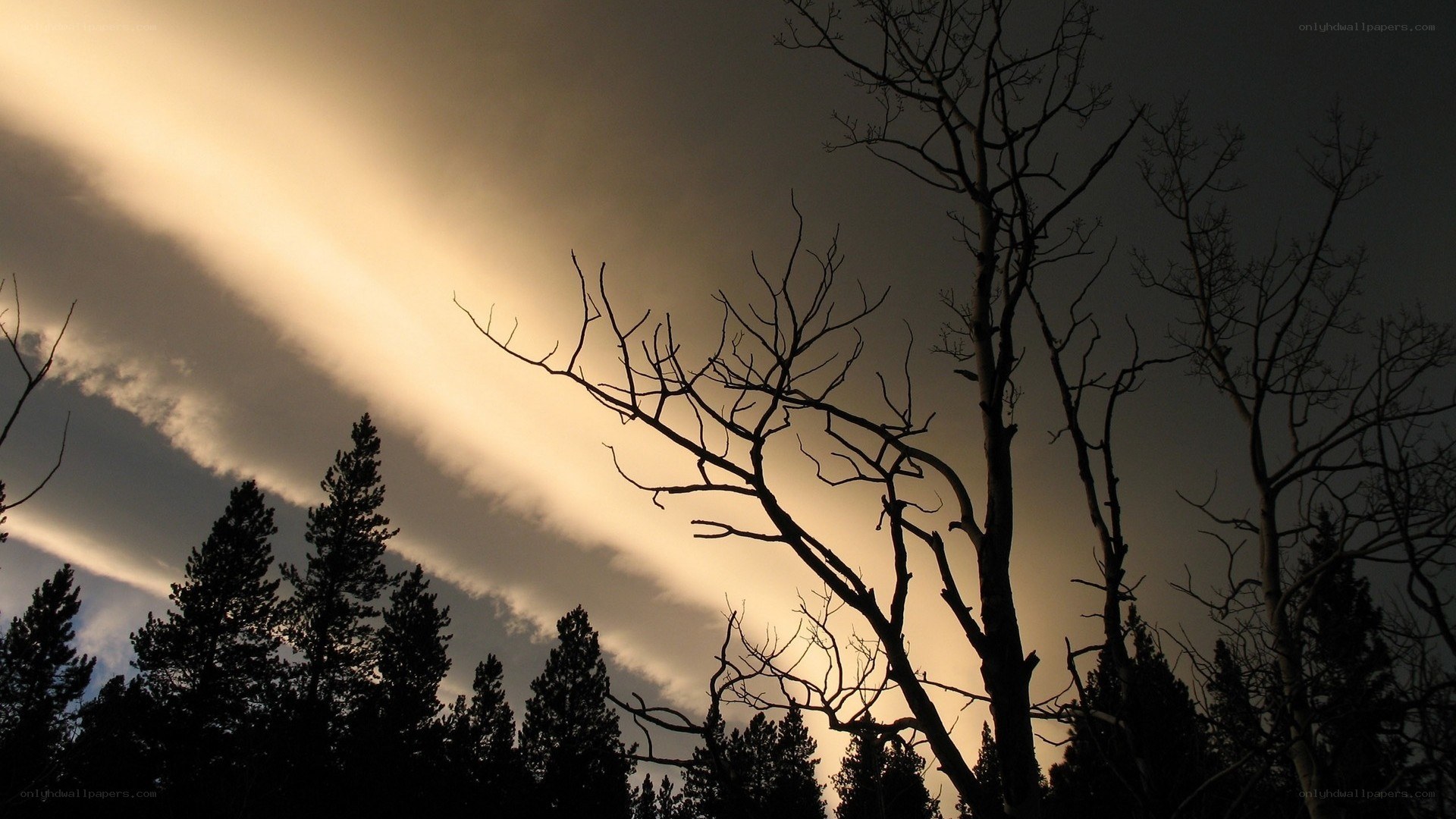 Sunlight through storm clouds