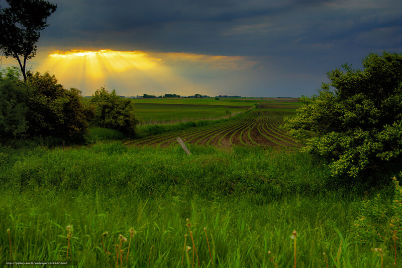 Sunlight Through Storm Clouds — Green, Dramatic, Sunset, Photograph, Field