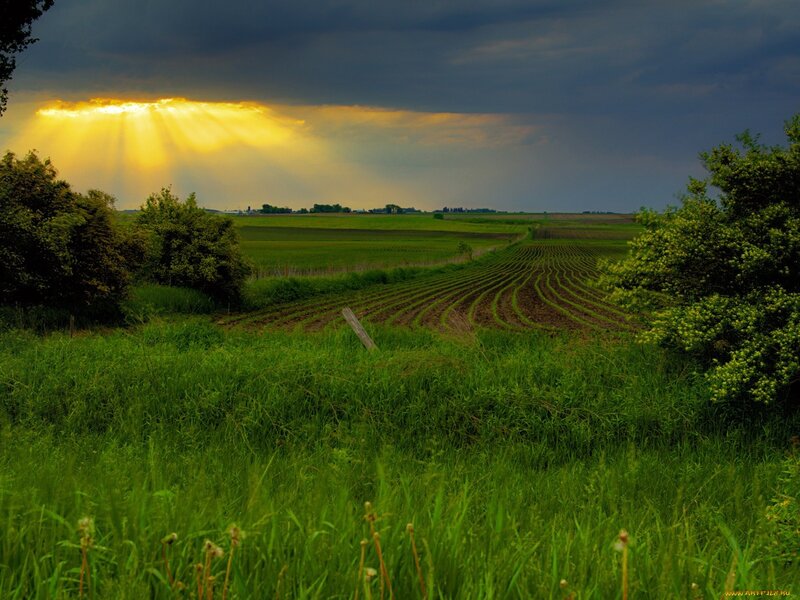 Sunlight Through Storm Clouds — Green, Dramatic, Sunset