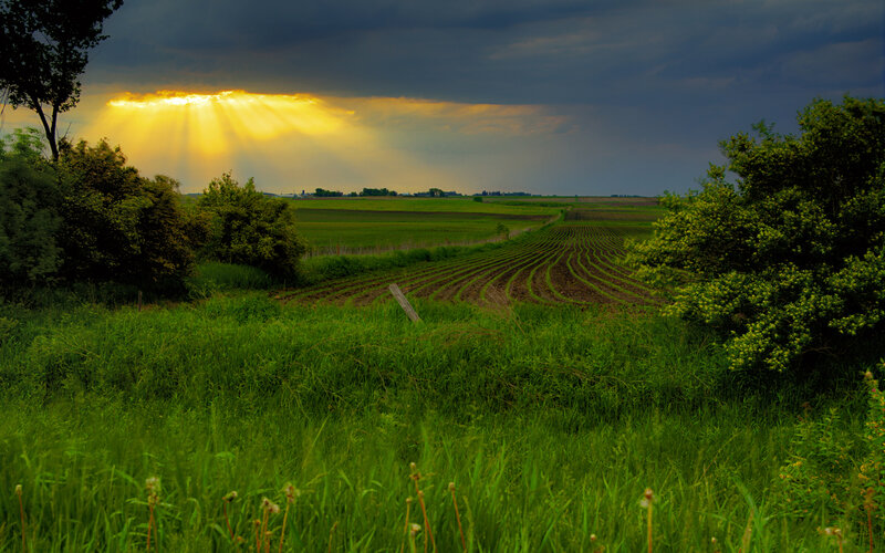 Sunlight Through Storm Clouds — Green