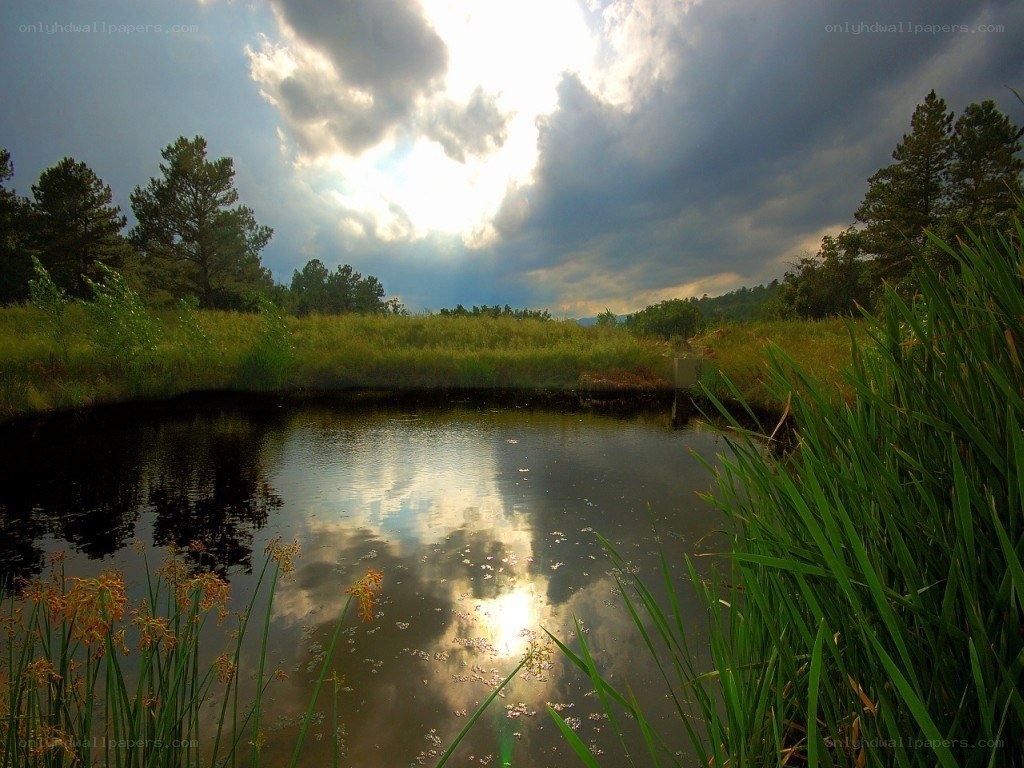 Sunlight through storm clouds over a pond