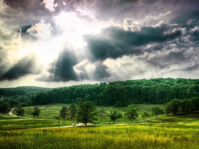 Sunlight Through Storm Clouds — Trees