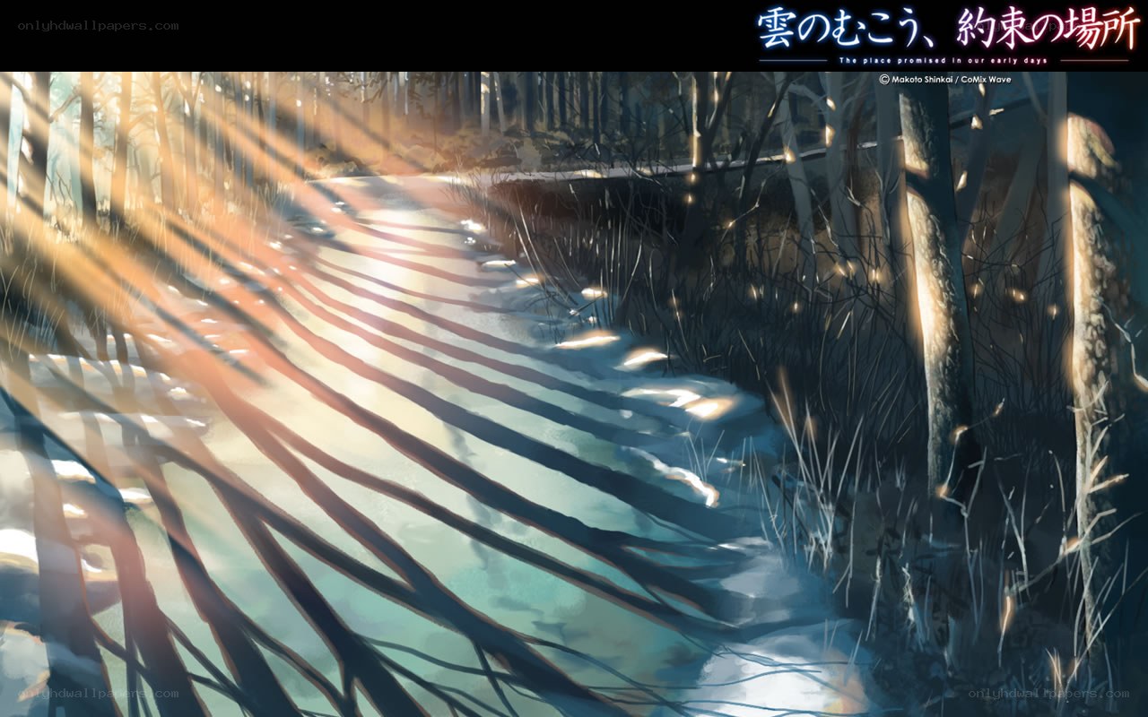 Sunlight through the forest