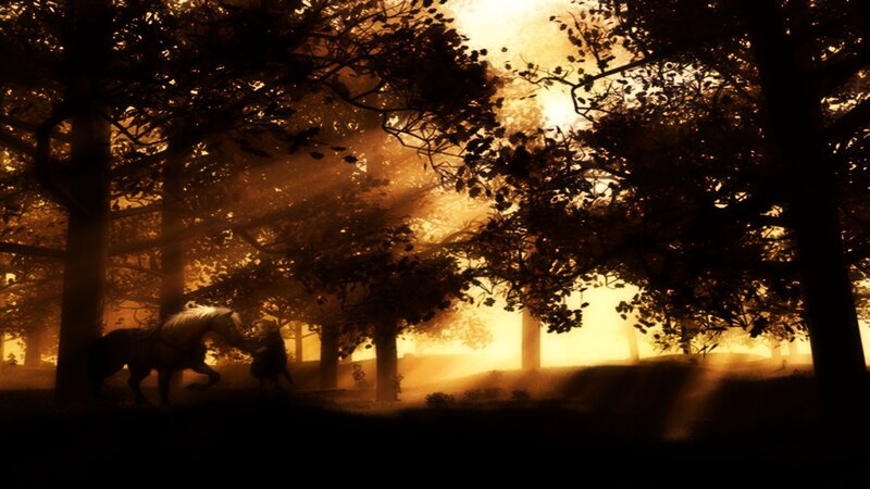 Sunlight through the forest