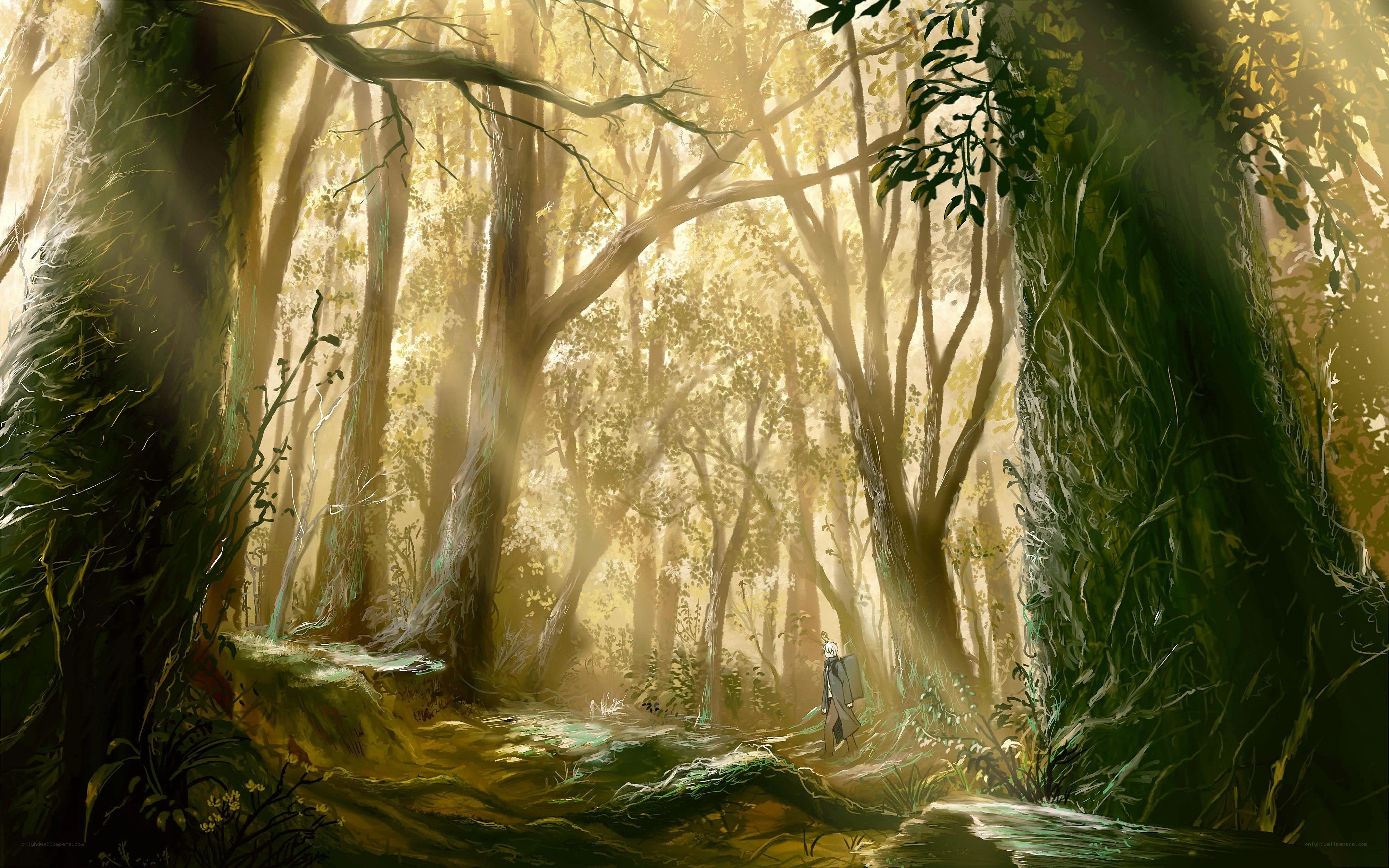 Sunlight through the forest