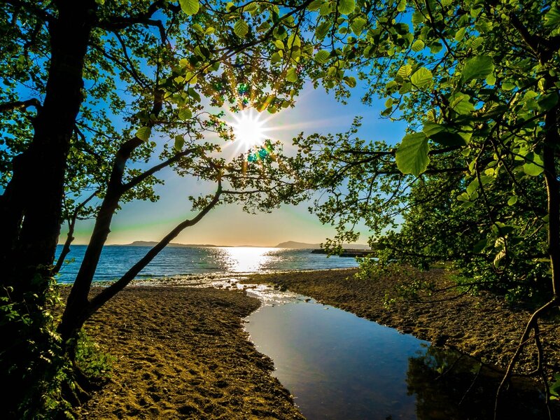 Sunlight Through Tree Branches — Green, Serene, Sunset, Photograph, Trees, River