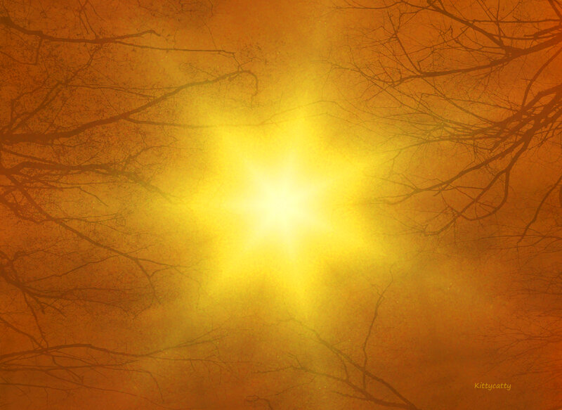 Sunlight Through Tree Branches — Yellow