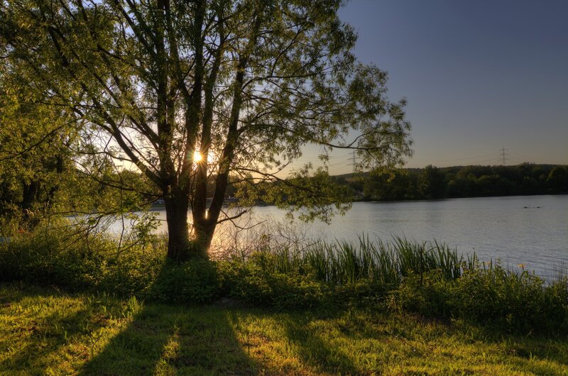 Sunlight Through Tree — Green, Serene, Sunset, Photograph, Lake