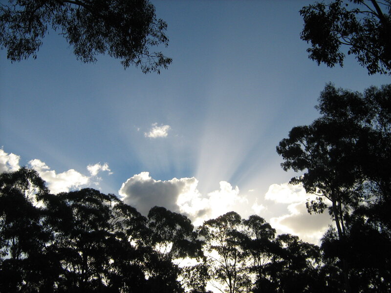 Sunlight Through Trees — Blue, Serene, Afternoon, Photograph, Clouds