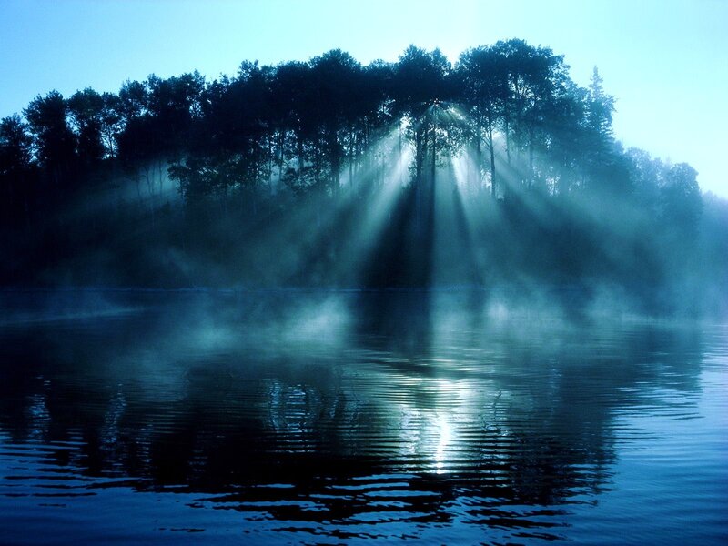 Sunlight Through Trees — Blue, Serene, Morning, Photograph, Fog, Lake, Black