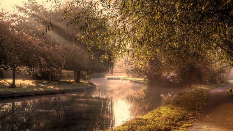 Sunlight through trees by a canal