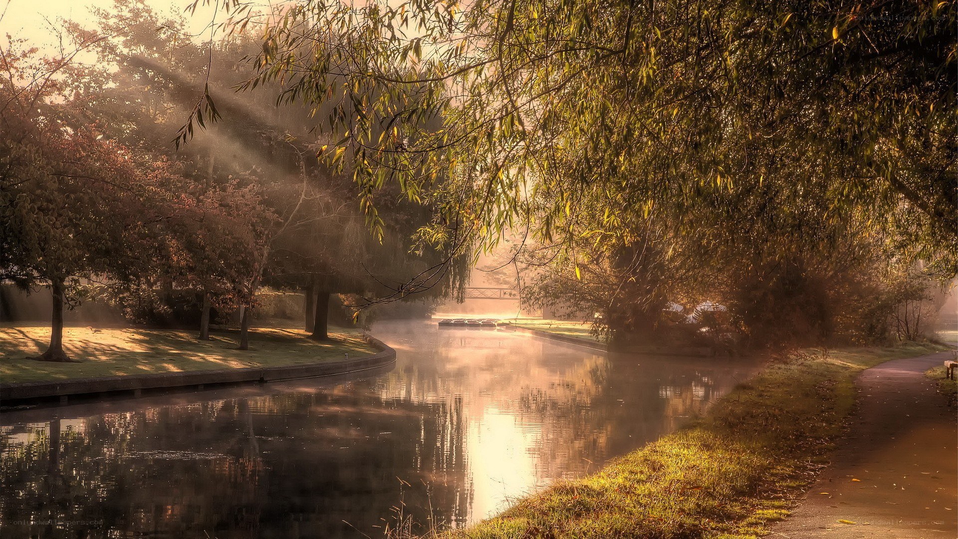 Sunlight through trees by a canal