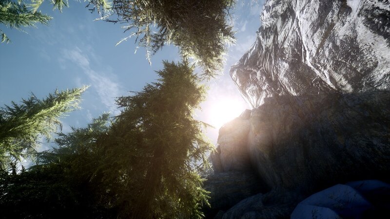Sunlight Through Trees — Green, Serene, Afternoon, 3d Render