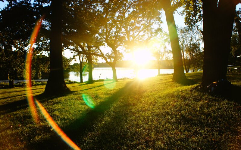 Sunlight Through Trees — Green, Serene, Sunset, Photograph, Grass, Lake