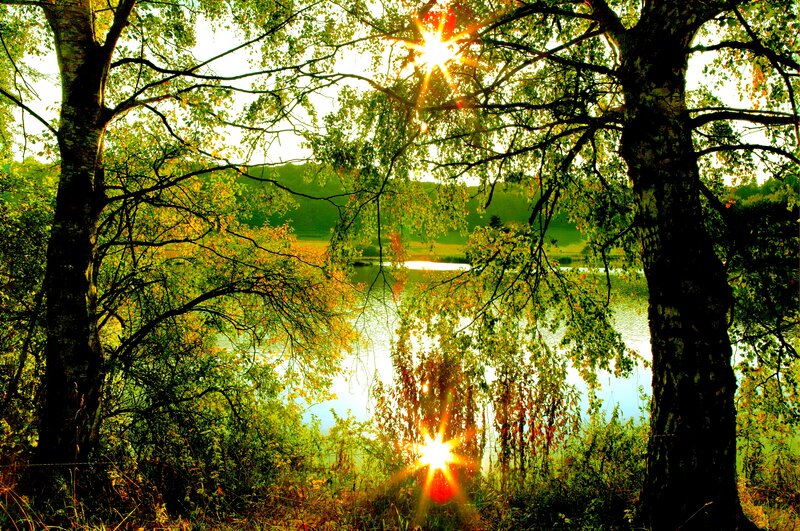 Sunlight Through Trees — Green, Serene, Sunset, Photograph, Lake