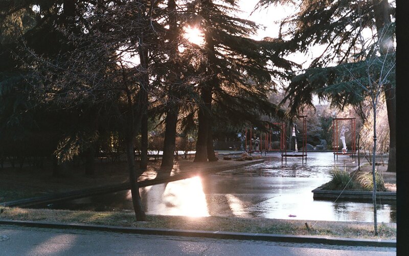 Sunlight Through Trees — Green, Serene, Sunset, Photograph, Pond