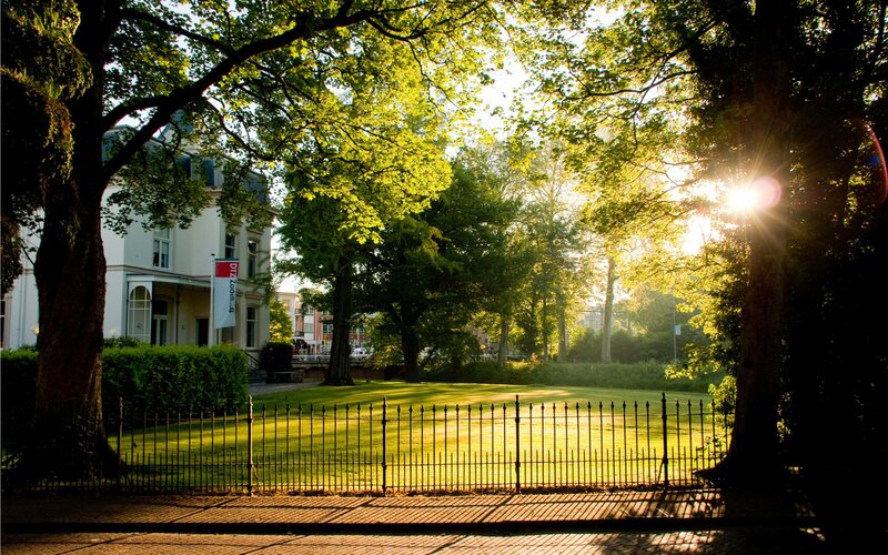 Sunlight through trees on a campus