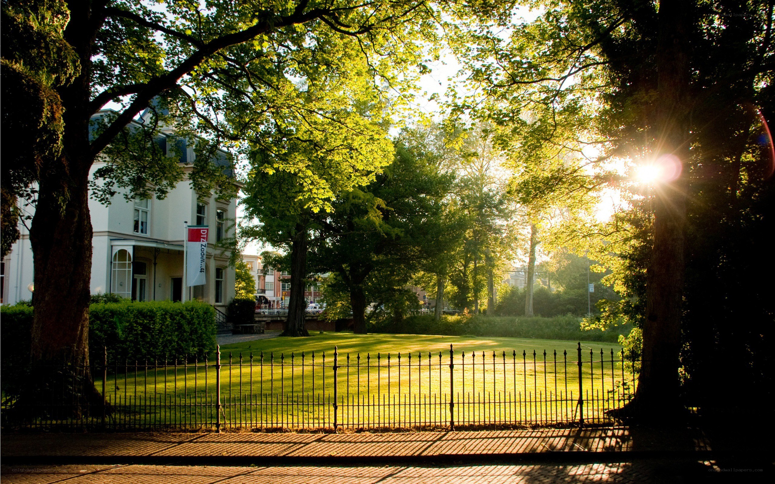 Sunlight through trees on a campus