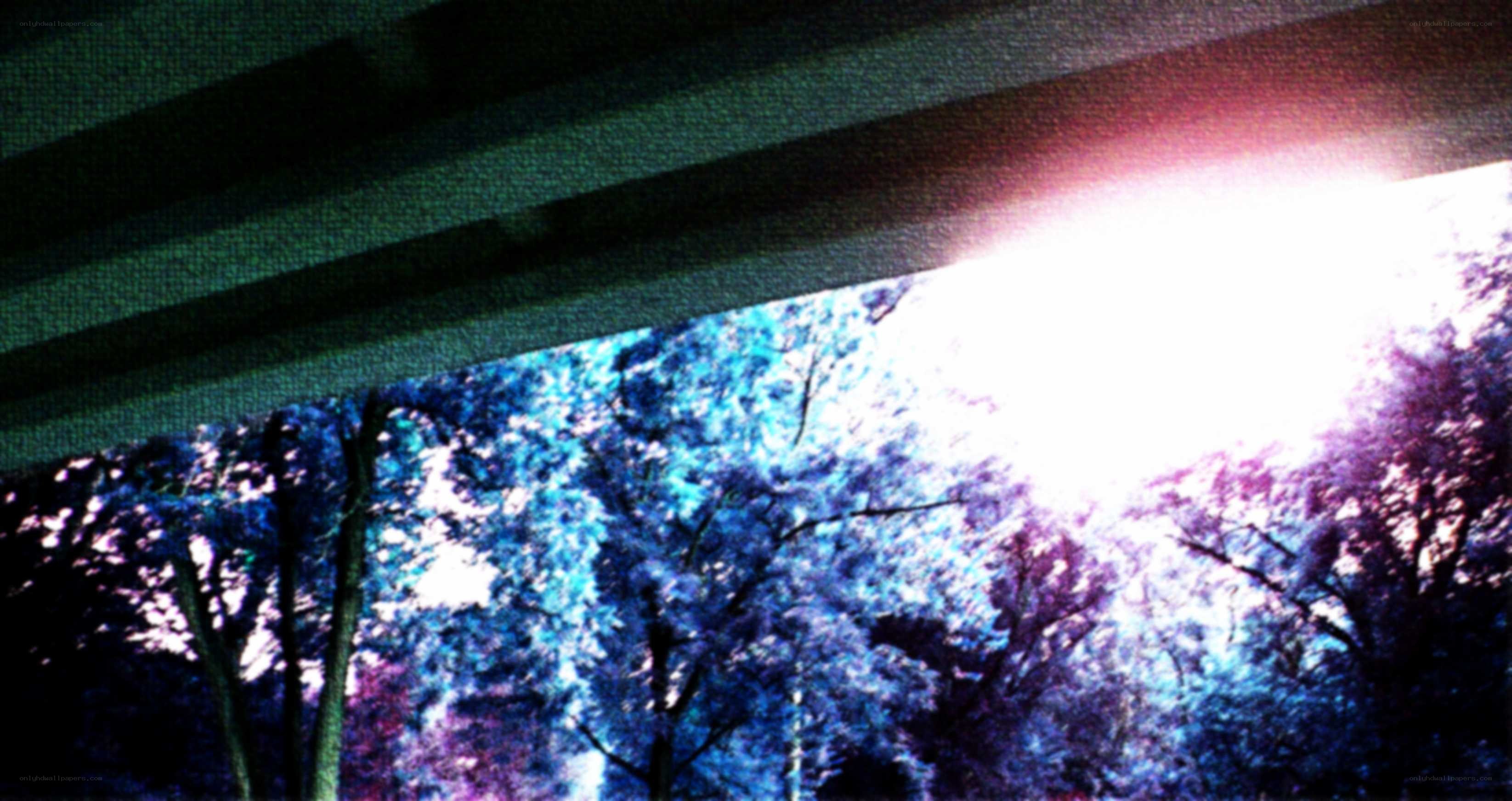 Sunlight through trees under bridge