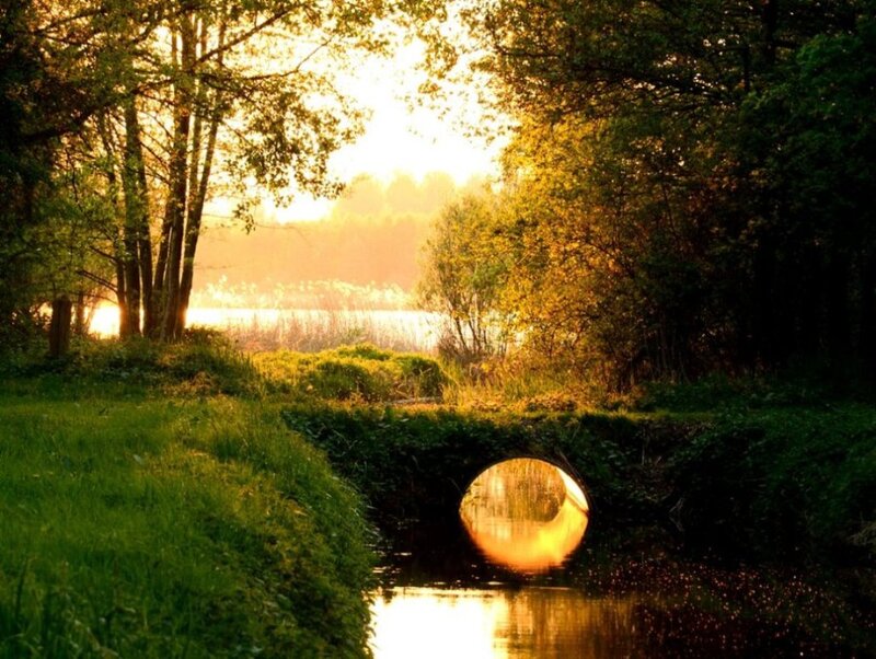 Sunlight Through Tunnel