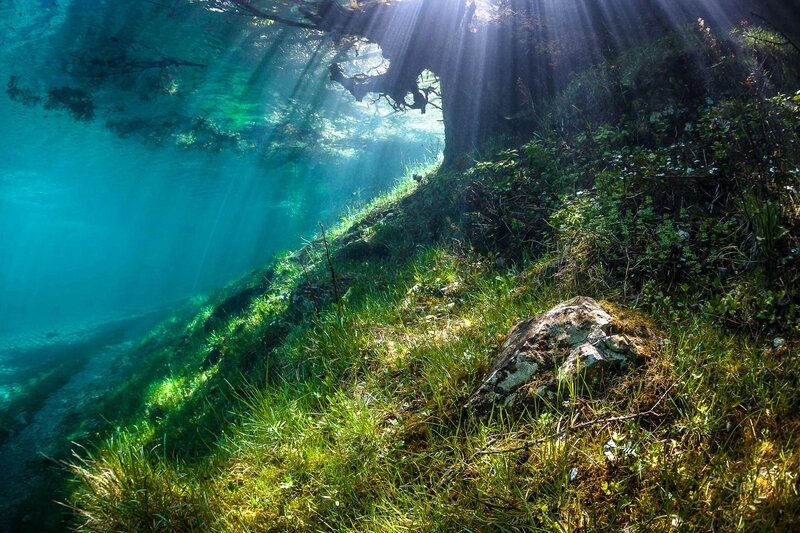 Sunlight Through Water — Green