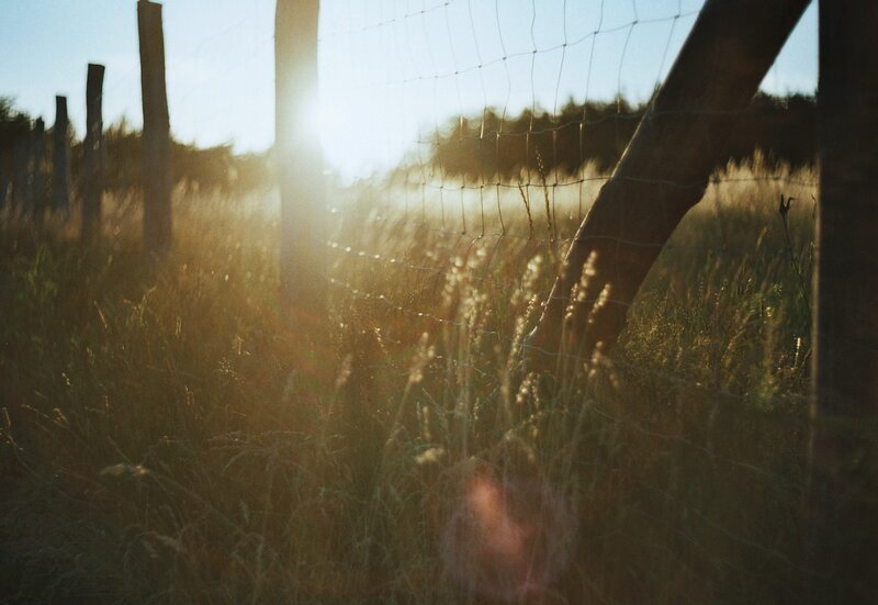Sunlight Through Wire Fence
