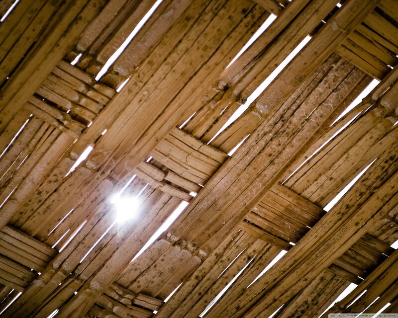 Sunlight through wooden roof
