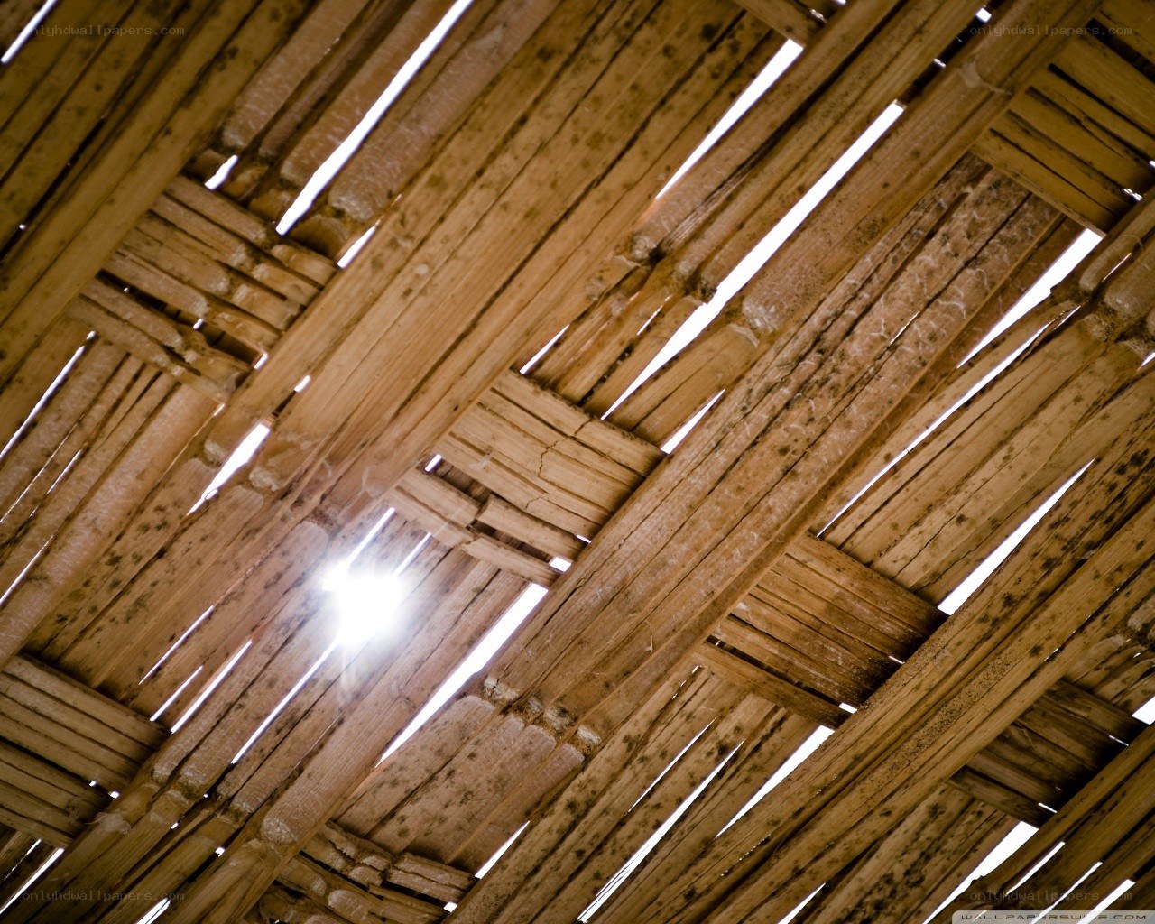 Sunlight through wooden roof